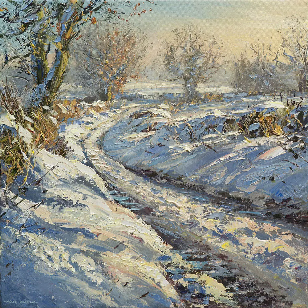 Mark Preston - winters afternoon, brailsford